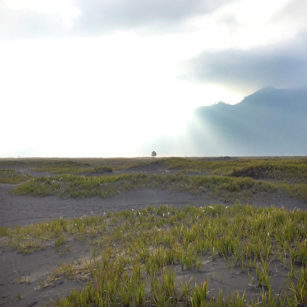 The sunset at savanna makes great dramatic pictures 