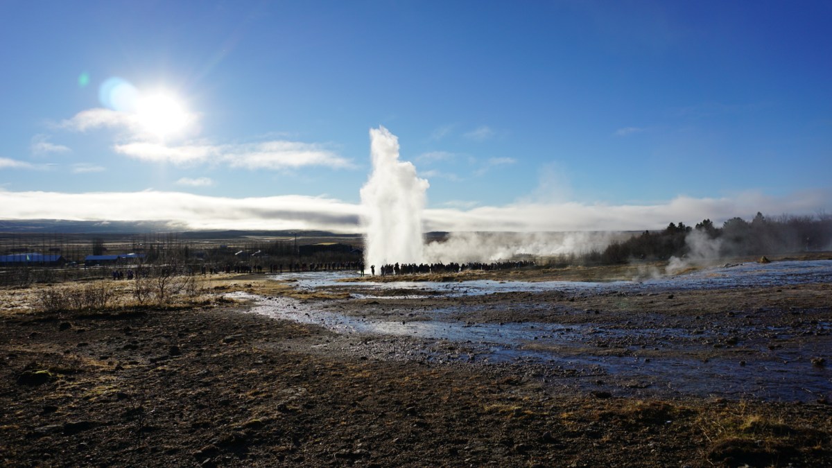 0afb78ea-4e00-48eb-a0bf-ebdd5b8238ad