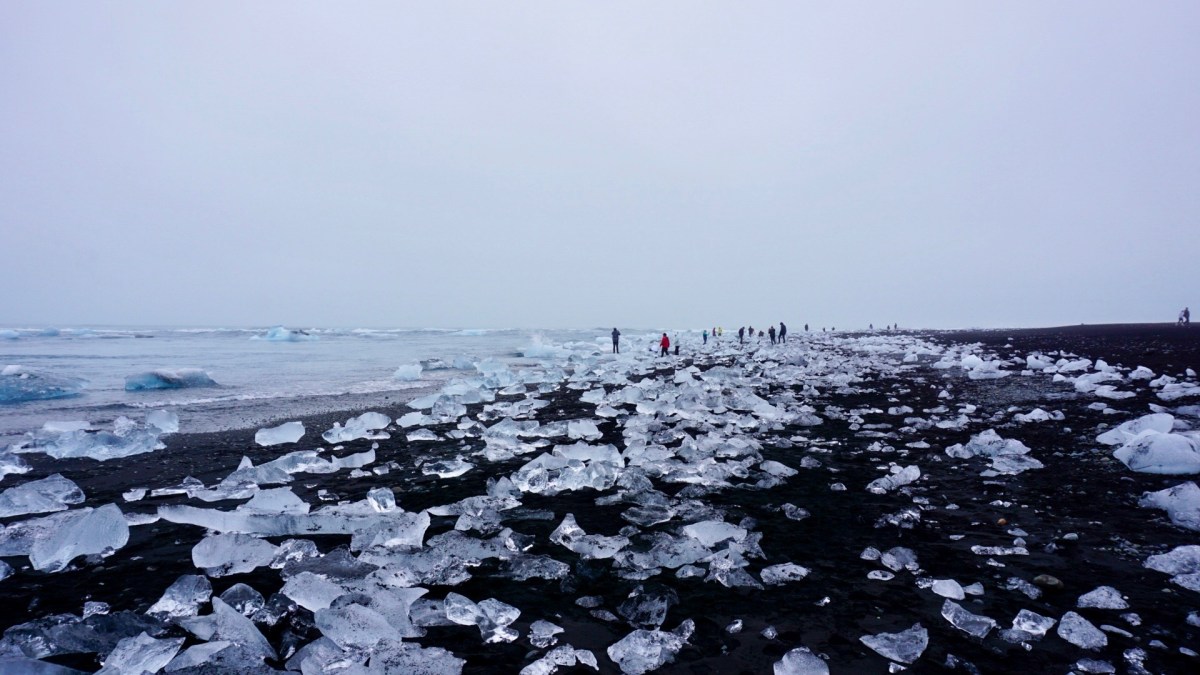 163C97FB-7614-4DB9-BE61-419661CA6A3C