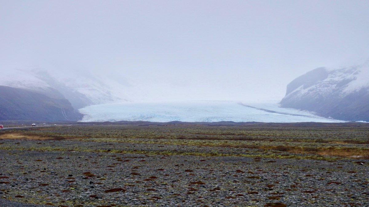 65FA593A-F0E5-4021-8E72-89C5F2076AC2