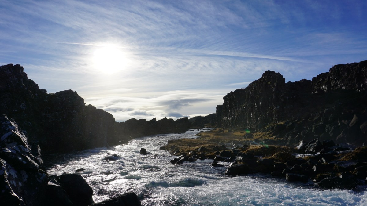 f0036ca1-ff94-45dd-abaa-018356c60093