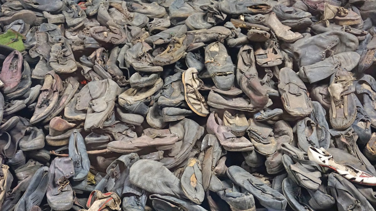 C9A492FB-D1C5-4A4F-9878-BEB7AEC50364