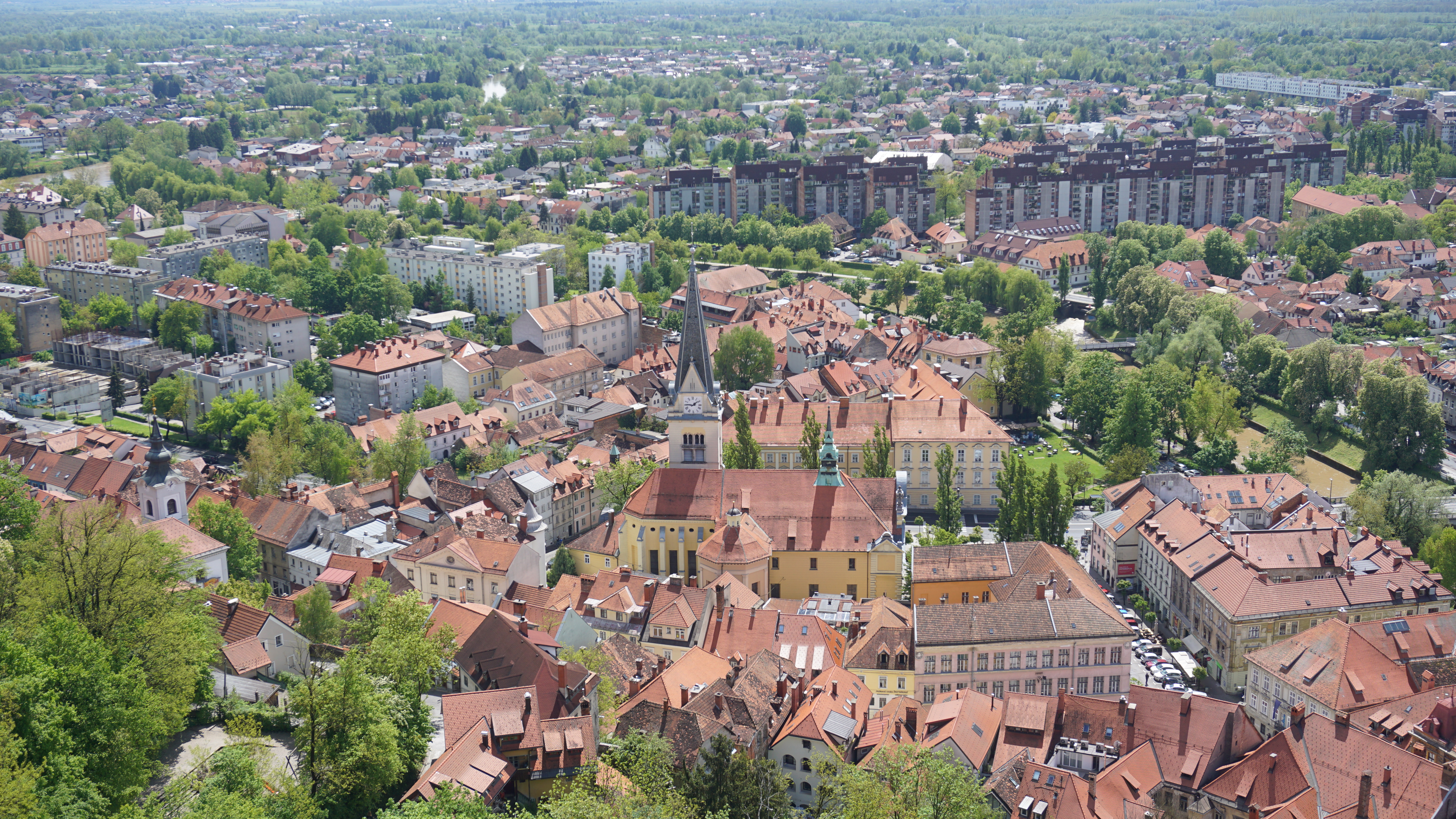 D3DC1D59-9829-4E85-B911-94A5DB22248B